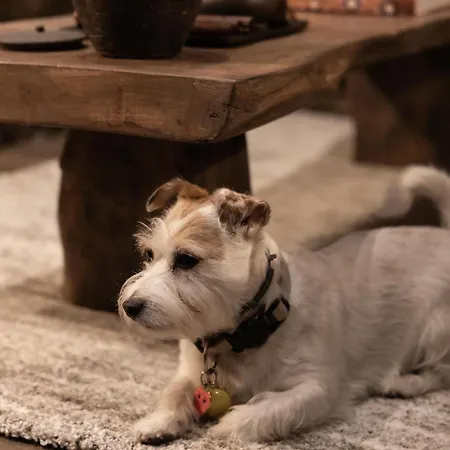 Refugio Nevado - & Jacuzzi