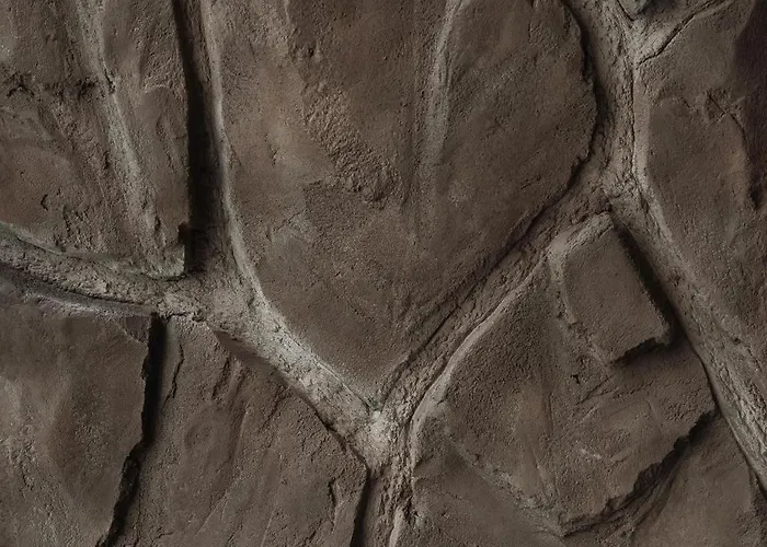 Refugio Nevado - & Jacuzzi Διαμέρισμα *