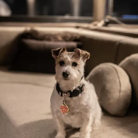 Apartment Refugio Nevado - & Jacuzzi Sierra Nevada