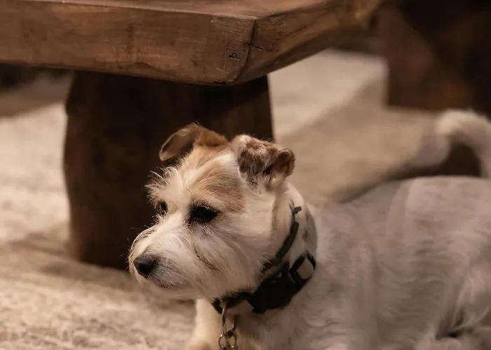 Refugio Nevado - & Jacuzzi