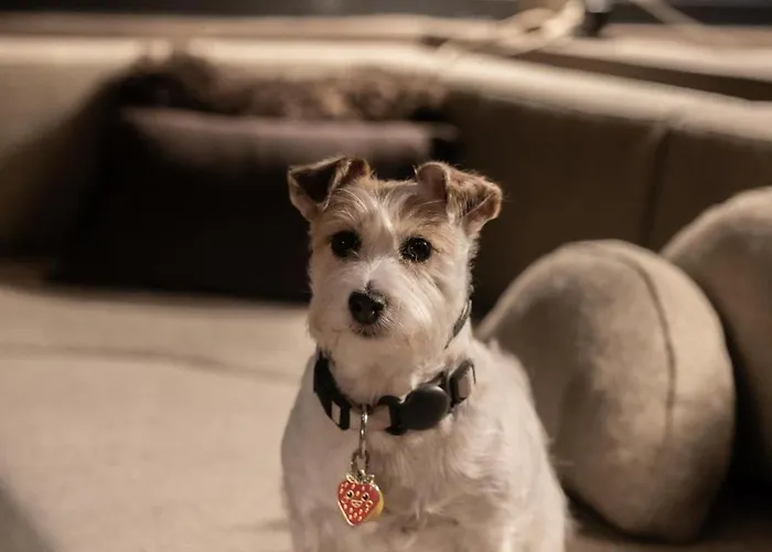 Daire Refugio Nevado - & Jacuzzi Sierra Nevada